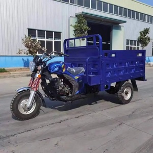 รถสามล้อเบนซิน3ล้อสำหรับบรรทุกสินค้า200cc 150cc - Product Image 2