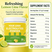 Poudre d'hydratation électrolytique naturelle au citron et au citron vert OEM – Remise en forme rapide, énergie et bien-être pour la récupération sportive
