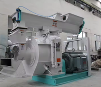 Machine à granulés de bois biomasse certifiée CE 300 kg/h, commande PLC, haute efficacité, entraînement par engrenages, moulin à granulés de sciure, moteur en acier inoxydable