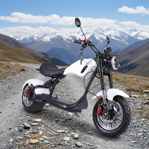 Scooter électrique tout-terrain homologué CE pour adultes, pneus larges, suspension hydraulique, scooter de mobilité urbaine pour le marché européen - Product Image 1