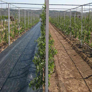 Tissu Anti-herbe/barrière contre les mauvaises herbes noires barrière contre les mauvaises herbes tissu paysage avec barrière contre les mauvaises herbes microfu couverture du <span class=keywords><strong>sol</strong></span> - Product Image 3