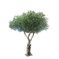 Grand arbre d'olivier artificiel en fibre de verre sur mesure, arbre décoratif de simulation pour centre commercial et restaurant, affichage intérieur