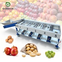 Industriële roller sorteermachine voor perzik, jujube, bosbes, kokosnoot, granaatappel en knoflook fruit.