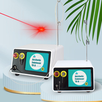 Triangel Nouveau Diodo Lipo Laserlift 980nm+1470nm Diode Laser Liposuccion Machine Amincissante Endolaser Lifting Facial