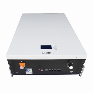 <span class=keywords><strong>Precio</strong></span> de fábrica <span class=keywords><strong>Powerwall</strong></span> Lifepo4 Montado en la pared 51,<span class=keywords><strong>2</strong></span>/100ah 200ah Batería de almacenamiento de energía para el hogar Litio - Product Image 4