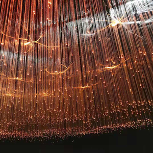 Đèn Trần Led Cố Định Hệ Thống Chiếu Sáng Sợi Quang Treo Đèn Trần Kit - Product Image 1