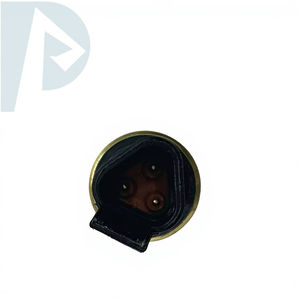 Sensor de Presión de Alta Calidad E324D E325D E329D E330C 161-1703 1611703 para Caterpillar - Product Image 3