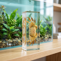 Collection de spécimens de crabes en résine - Crabes réels emprisonnés dans l'ambre, jouet éducatif scientifique, ornement de bureau et présentoir biologique