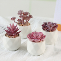 Pot en céramique blanche, plantes succulentes artificielles en plastique, mini paysage de table, décorations pour la maison et le balcon