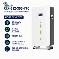 Batterie au lithium LiFePO4 sur pied 51,2 V 300 Ah 15,36 kWh pour stockage d'énergie solaire avec indicateur LED et BMS 200 A