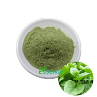Poudre d'extrait naturel de Basella Alba de qualité alimentaire, poudre de malabar spinache