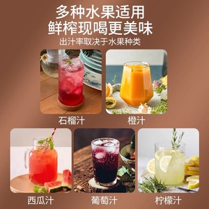 Stainless Steel Manual <b>Juicer</b> 304 For Lemon Pomegranate Fruit Press Commercial Use - Product Image 5