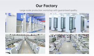 BIOBASE Çin Laboratuvarı Saf Su Sistemi BKSROEZ-750, Suda Bulunan Katı Kirleticileri, Tuz İyonları, Bakterileri ve Virüsleri Giderir - Product Image 3