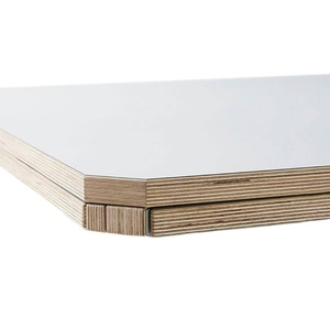 Postforming HPL Laminate cho đồ nội thất trong nhà trang trí tường 4x8x15mm 18mm 21mm Dày Phong cách thiết kế hiện đại E1 formaldehyde - Product Image 1