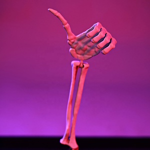 Juego de 4 estacas de mano de esqueleto para Halloween, decoración para jardín/exterior, brazos de esqueleto con gestos de <span class=keywords><strong>roca</strong></span>, accesorios espeluznantes para fiestas de Halloween - Product Image 4