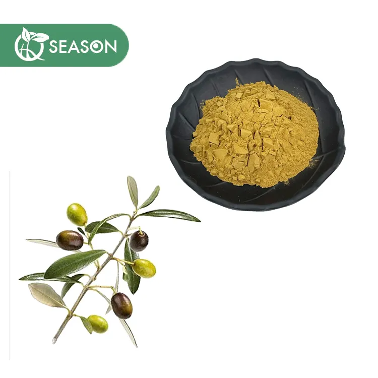 Fabrikant Olive Leaf Extract Oleuropein Hydroxytyrosol Poeder