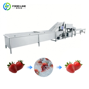 Laveuse de laitues rouges automatique pour ligne de traitement des légumes à feuilles pour salades fraîches - Product Image 1