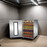 Déshydrateur Alimentaire Professionnel Four de Séchage de Fruits Machine de Séchage de Légumes Commerciale à Vendre Matériel de Déshydratation de Fruits