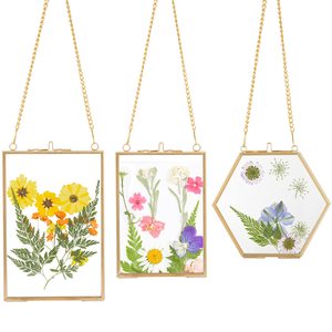 Gran oferta, <span class=keywords><strong>marcos</strong></span> de <span class=keywords><strong>flores</strong></span> prensadas verticales transparentes doradas <span class=keywords><strong>con</strong></span> cadena, marco de fotos flotante de vidrio transparente doble de cobre - Product Image 2