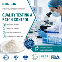 Poudre de probiotiques Lactobacillus Acidophilus 10 milliards d'UFC pour l'évaluation de formules de prémélanges nutritionnels en vrac et les projets OEM