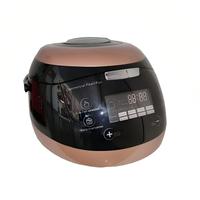 Machine à Cuisiner le Tapioca Commerciale 220V à Contrôle Programmable pour les Cafés et Salons de Thé
