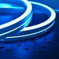 Ruban néon flexible RGB personnalisé SMD5050, néon LED fin en silicone, lumières LED néon flexibles étanches IP67 pour la décoration de mariage et de fête