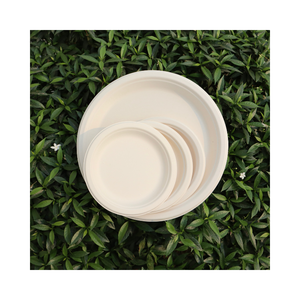 Vente en gros STAVIAN 10 "Écologique Biodégradable Compostable Bagasse Canne à Sucre Assiette Jetable Quantité Personnalisable pour - Product Image 1