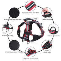 Collier pour chien anti-traction en nylon de qualité supérieure, harnais et gilet réfléchissant pour animaux de compagnie, laisse personnalisée – Accessoires pour animaux de compagnie très demandés