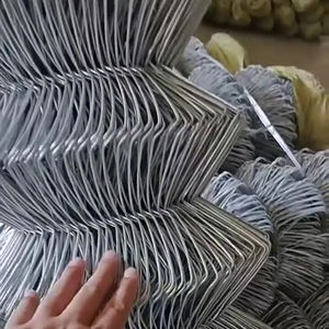 Toptan Ekolojik Dayanıklı Galvanizli veya PVC Metal Tel Örgü Çit Siklon Demir Tel Örgü Çit - Product Image 2