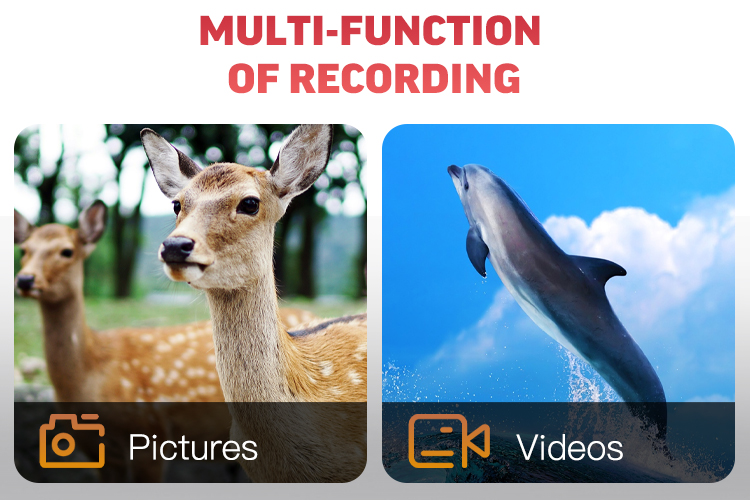 Wildlife Trail Camera OEM/ODM Factory Price Animal Trap Camera 1080P Trail Hunting Camera With IP66 Waterproof