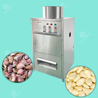 Machine à peler l'ail électrique haute performance Industria, éplucheuse automatique avec une capacité de 150 kg/h pour le traitement des aliments en usine