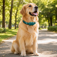 Système de localisation sans fil Qcool pour animaux de compagnie, outil anti-perte avec contrôle de localisation, collier GPS lumineux LED pour animaux de compagnie pour la promenade en extérieur