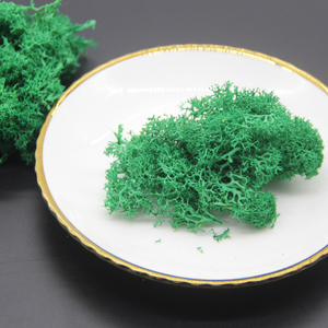 <span class=keywords><strong>Verde</strong></span> scuro stabilizzato conserve di moss per società di progettazione di decorazione della parete - Product Image 3