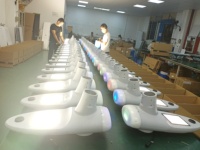Contrôleur MPPT semi-intégré 4000LM pour lampadaire solaire avec capteur de mouvement, indice de protection IP65, construction en aluminium LED, extérieur, conforme RoHS