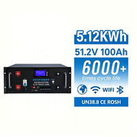 Batería LiFePO4 de 48V 100Ah 51.2V 5.12kWh para Sistema de Energía Solar, Montable en Rack