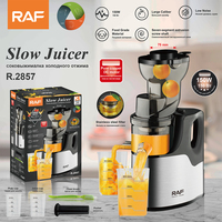Raf Nieuwe Roestvrijstalen Automatische Citrusvruchtensap Extractor Grote Mond Trage Schroef Juicer Koud Pers Juicer