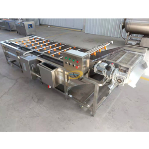 خط غسيل وتجهيز الفواكه والخضروات بالفقاعات الهوائية، خط غسيل فاكهة التنين للمزارع - Product Image 2