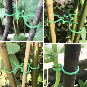 Garden Figure 8 <b>Clip</b> Plastic Plant Support <b>Frame</b> For Climbing Vines And Stems Gardening Tool - Product Image 4