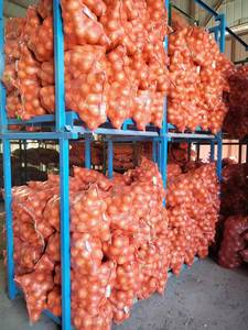 Chất Lượng Cao Màu Đỏ Hành Tây Cây Trồng Mới Màu Vàng Tươi Hành Tây Giá Tốt Tự Nhiên Khỏe Mạnh Màu Đỏ Hành Tây Bán Buôn - Product Image 6