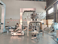 Machine d'emballage industrielle automatique multifonctionnelle Weeshine WPV200 pour sachets de chips/noix, haute précision, directement de l'usine
