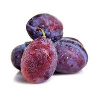 Pur naturel de haute qualité en gros jus de fruits boisson concentré poudre de pruneau