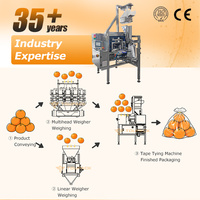 Machine de scellage automatique à grande vitesse pour l'emballage des fruits et légumes frais