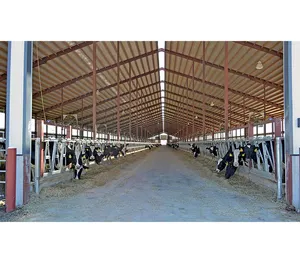 Industrial design clear width cow shed pre fab I columns H beams fabricated steel cow dairy farm building