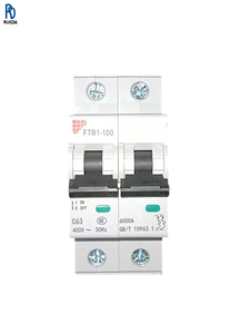 Interruptor de Circuito FTB1-100 2P Tipo C 63A, Interruptor de Circuito en Miniatura, Protección Contra Sobrecarga y Cortocircuito, Seguridad Eléctrica - Product Image 1