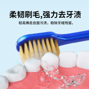 Banner <b>Toothbrush</b> Soft Bristle Adult Manual Cleaning Gum Care 4 Pack - Product Image 2
