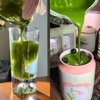 E78 Matcha biologique japonais JAS de première récolte d'Uji, saveur noix, thé vert instantané cérémonial, poudre de matcha torréfiée du Japon