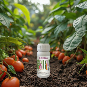 Magnésium, bore, zinc, <span class=keywords><strong>fer</strong></span> et potassium-oligo-éléments pour une amélioration rapide du rendement et de la qualité - Product Image 3