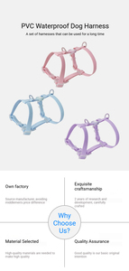 Set <span class=keywords><strong>Harnesses</strong></span> Anjing PVC 3-in-1 Tahan Air dengan Tali & Kalung, Perlengkapan Jalan-Jalan yang Serasi untuk Anjing Kecil dan Sedang - Product Image 5