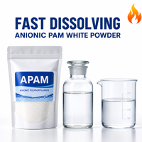 Supplier Bubuk Flokulan Anionic Polyacrylamide (APAM) Grosir dari Cina