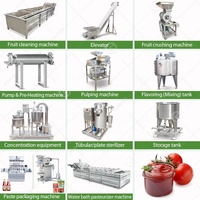 Complete semi-automatische productielijn voor tomatenjam, -puree, -ketchup en -pasta met afvullijn